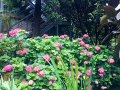 -谷咖啡·鲜花绿植花园餐厅