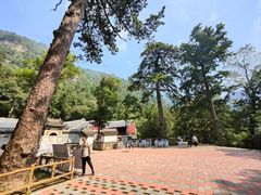 -北京上方山国家森林公园