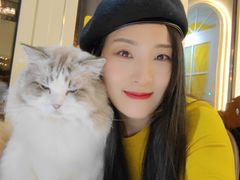 -猫小院猫主题餐厅(南锣旗舰店)