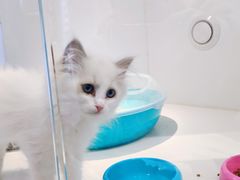 -龟与熊猫宠物公园(南坪店)