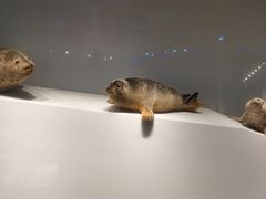-巷子深菜馆·津门肘子(滨海店)