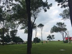 -日照灯塔风景区