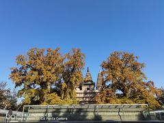 -北京石刻艺术博物馆(五塔寺)
