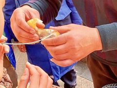 -绵阳人民公园(涪城区)