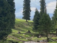 -新疆那拉提国家旅游度假区