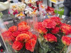 -循礼门鲜花花市(武汉循礼门店)