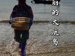 -大鹿岛