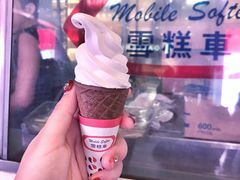 -富豪雪糕车流动点(尖沙咀)