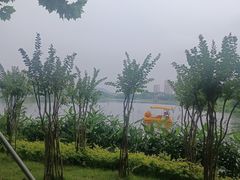 -洋湖国家湿地公园