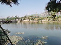 -枫香湖儿童公园