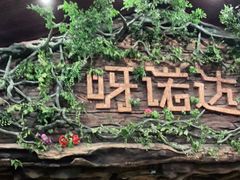 -呀诺达热带雨林
