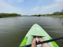 -春花秋色城市公园