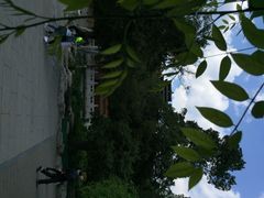 景山公园-景山公园