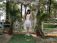 -大塘金香草谷
