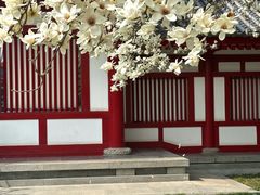 -大慈恩寺(大雁塔)