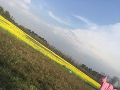 -白鹭湾湿地公园