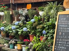 -龙姐私房菜(和顺古镇店)