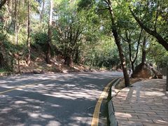 -南国桃园旅游度假区