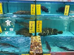 -有腥气私房菜·寻味顺德