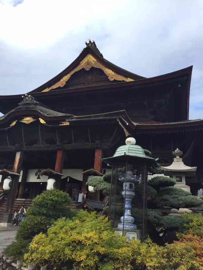 "-大众点评移动版