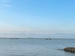 -上海滨江森林公园