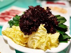 -雪园(南山街店)