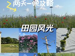 -嘉北郊野公园