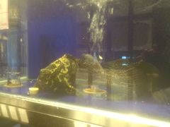 android_upload_pic-頂好酒家·经典粤菜(海信广场店)