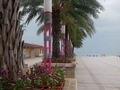 -玫瑰海岸文化旅游度假区