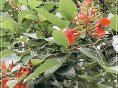 -云溪植物园