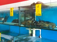 波士顿龙虾-崖口红树林海鲜餐厅
