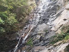 -梧桐山风景名胜区