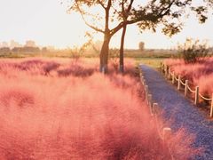 -汉长安城未央宫国家考古遗址公园