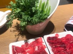 -掂档潮汕牛肉火锅(沈阳万象城店)