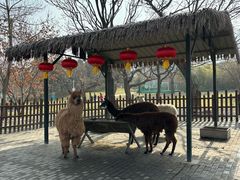 -西安秦岭野生动物园