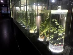 -广东中医药博物馆
