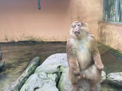 -宁波野生动物园