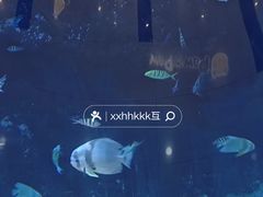 -鸿通城购物中心