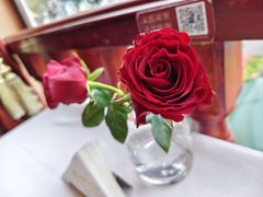 -橘洲1910花园江景西餐厅