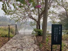 -美的鹭湖森林度假区