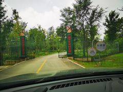 -秦皇岛野生动物园