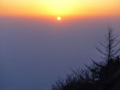 -泰山花样年华景区