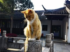 -西园戒幢律寺