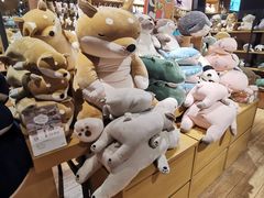 -九木杂物社(恒隆广场店)