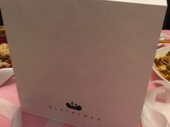 -BLACKSWAN黑天鹅(环球店)