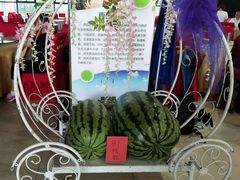 -西瓜小镇