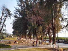 -宝安西湾红树林湿地公园