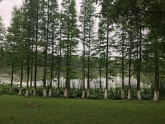 -艾溪湖湿地公园