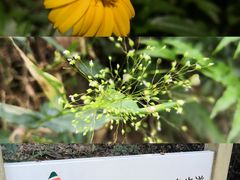 -火炉山森林公园