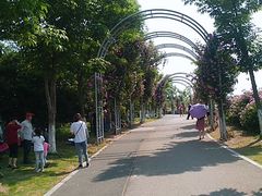 -尚贤河湿地